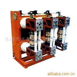 樂(lè)清市永基高壓真空開(kāi)關(guān)廠